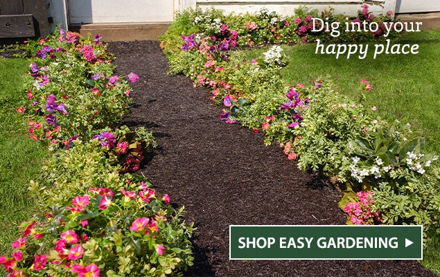 Image of Permanent Mulch Pathway. Dig into your happy place. - SHOP EASY GARDENING
