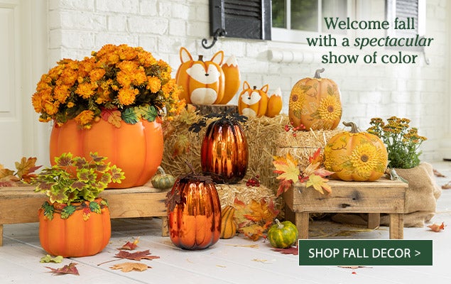 Image of Pumpkin Planters, Mercury Glass Pumpkins, Fox Pumpkins, Sunflower Pumpkins. Welcome fall with a spectacular show of color. SHOP FALL DECOR
