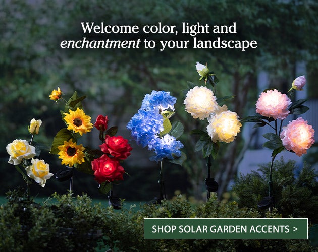 Welcome color, light and enchantment to your landscape
Shop solar garden accents >