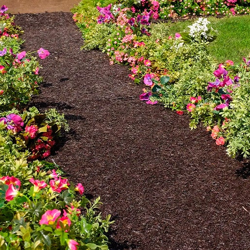 A recycled rubber permanent mulch garden path between flower beds