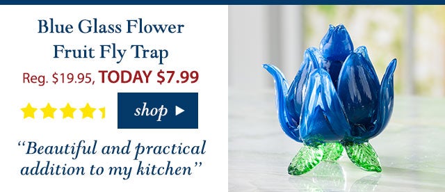 Blue Glass Flower Fruit Fly Trap
Reg. $ 19.95 TODAY: $ 7.99 (60% OFF!)
4.3 stars
“Beautiful and practical addition to my kitchen”
Buy Now>