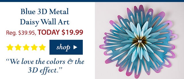 Blue 3D Metal Daisy Wall Art
Reg. $39.95 TODAY: $19.99 (50% OFF!)
5 stars
“We love the colors & the 3D effect.”
Buy Now>
