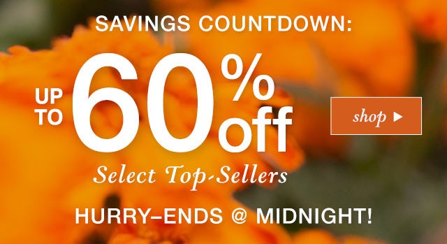 Savings countdown:
Up to 60% OFF*
Select Top-Sellers

Hurry–ends @Midnight!

SHOP>>