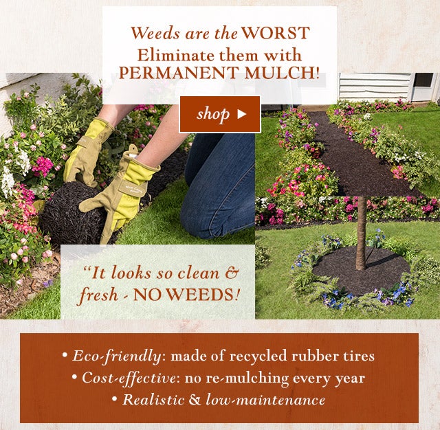 Weeds are the WORST
Eliminate them with Permanent Mulch!

• Eco-friendly: made of recycled rubber tires
• Cost-effective: no re-mulching every year
• Realistic & low-maintenance

“It looks so clean & fresh - NO WEEDS!