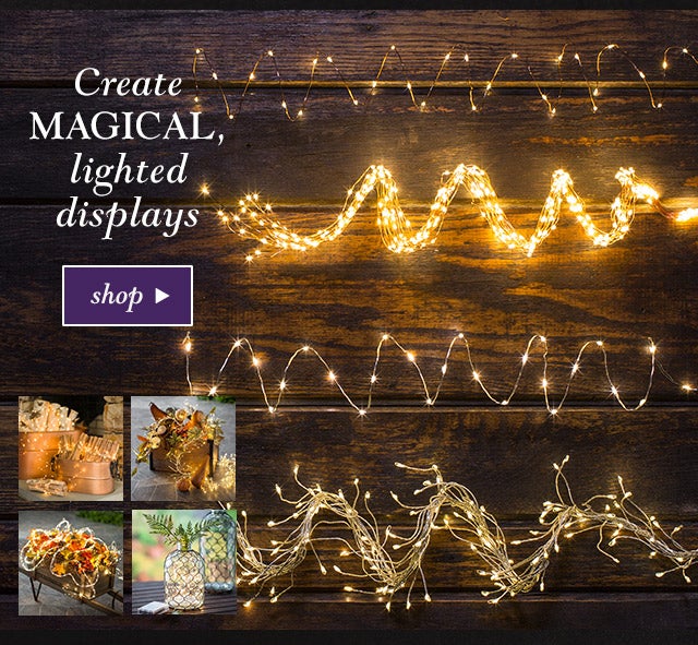 SCreate magical, lighted displays
