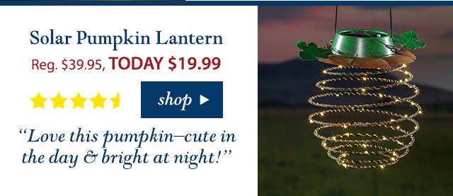 Pumpkin Lantern
Reg. $ 39.95 TODAY: $ 19.99 (50% OFF!)
4.8 stars
“Love this pumpkin–cute in the day & bright at night!”
Buy Now>