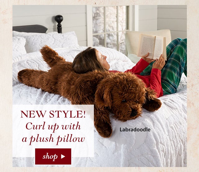 New style! Curl up with a plush pillow
