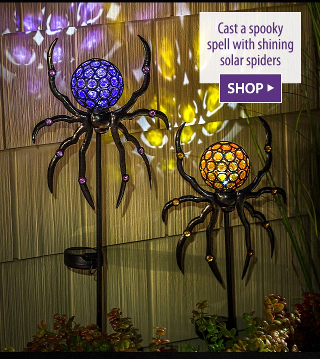 Cast a spooky spell with shining solar spiders SHOP>