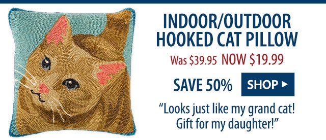 Indoor/Outdoor Hooked Cat Pillow Was $39.95 NOW $19.99 SAVE 50% âLooks just like my grand cat! Gift for my daughter!â