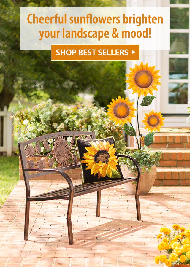 Cheerful sunflowers brighten your landscape & mood! SHOP BEST SELLERS>