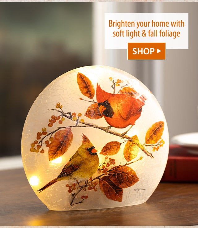 Brighten your home with soft light & fall foliage SHOP>