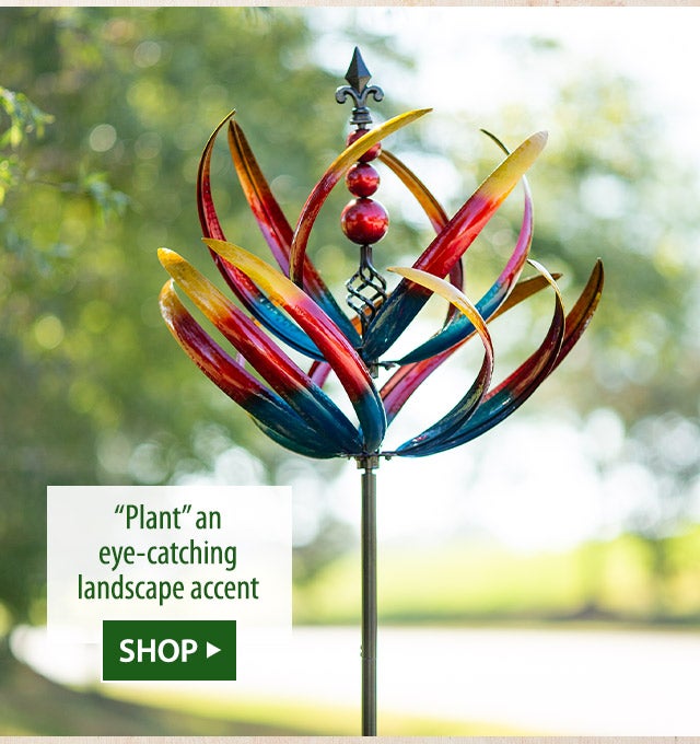 âPlantâ an eye-catching landscape accent SHOP>