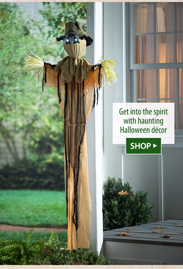 Get into the spirit with haunting Halloween dÃ©cor SHOP>