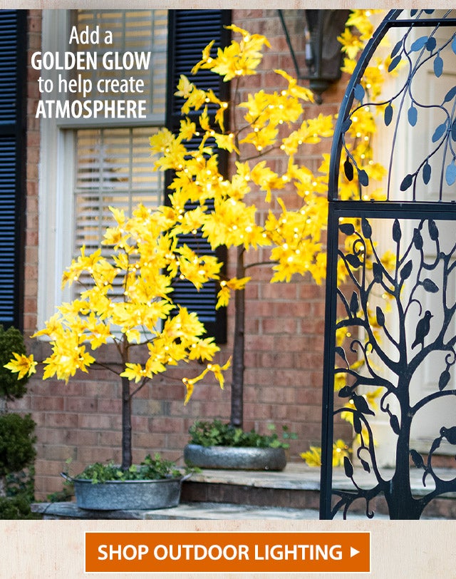 Add a golden glow to help create atmosphere SHOP OUTDOOR LIGHTING>