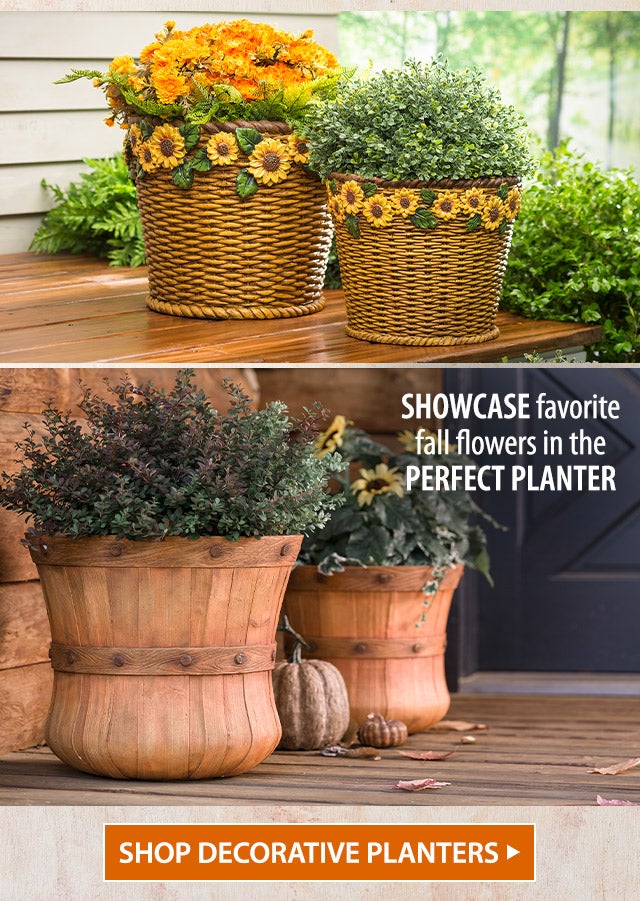 Showcase favorite fall flowers in the perfect planter SHOP DECORATIVE PLANTERS>