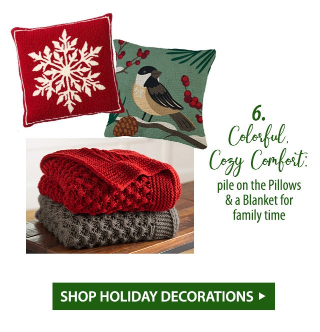 6.) Colorful, Cozy Comfort: pile on the Pillows & a Blanket for family time SHOP HOLIDAY DECORATIONS>