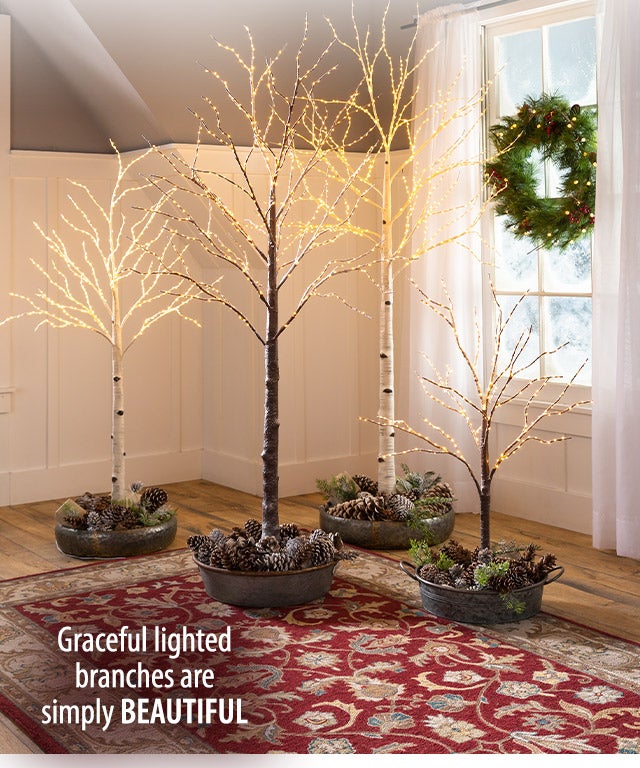 Graceful lighted branches are simply beautiful