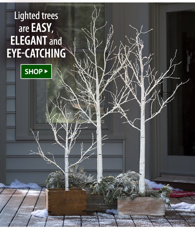 Lighted trees are easy, elegant and eye-catching