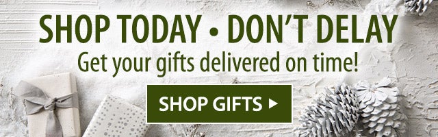 SHOP TODAY * DONâT DELAY Get your gifts delivered on time! SHOP GIFTS>