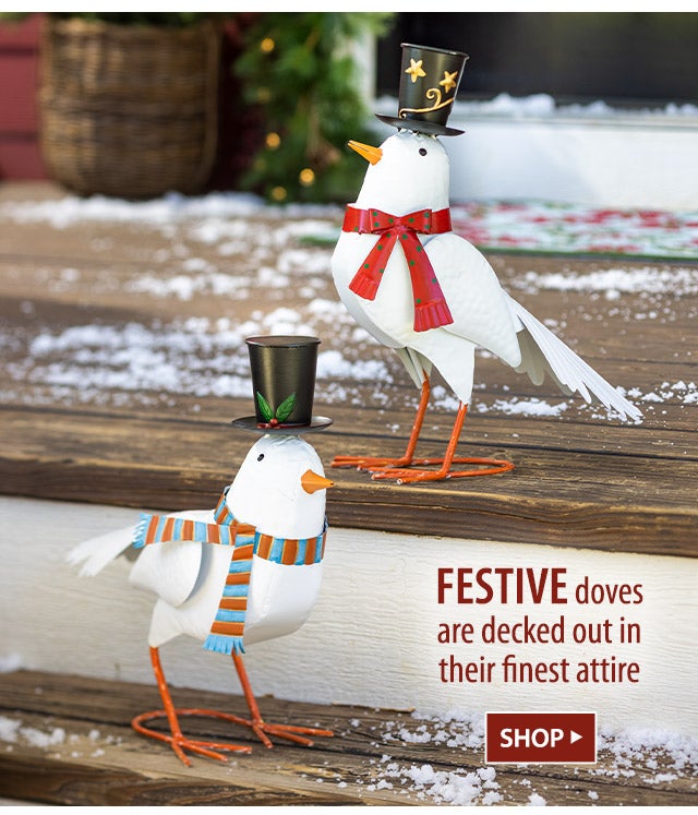 Festive doves are decked out in their finest attire