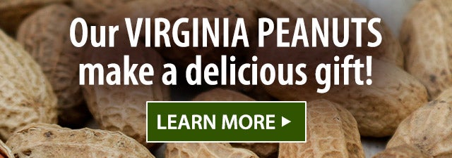 Our Virginia Peanuts make a delicious gift! LEARN MORE> 