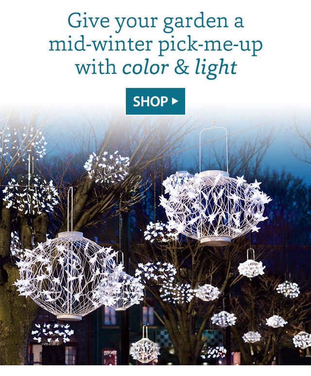 Give your garden a mid-winter pick-me-up with color & light SHOP>