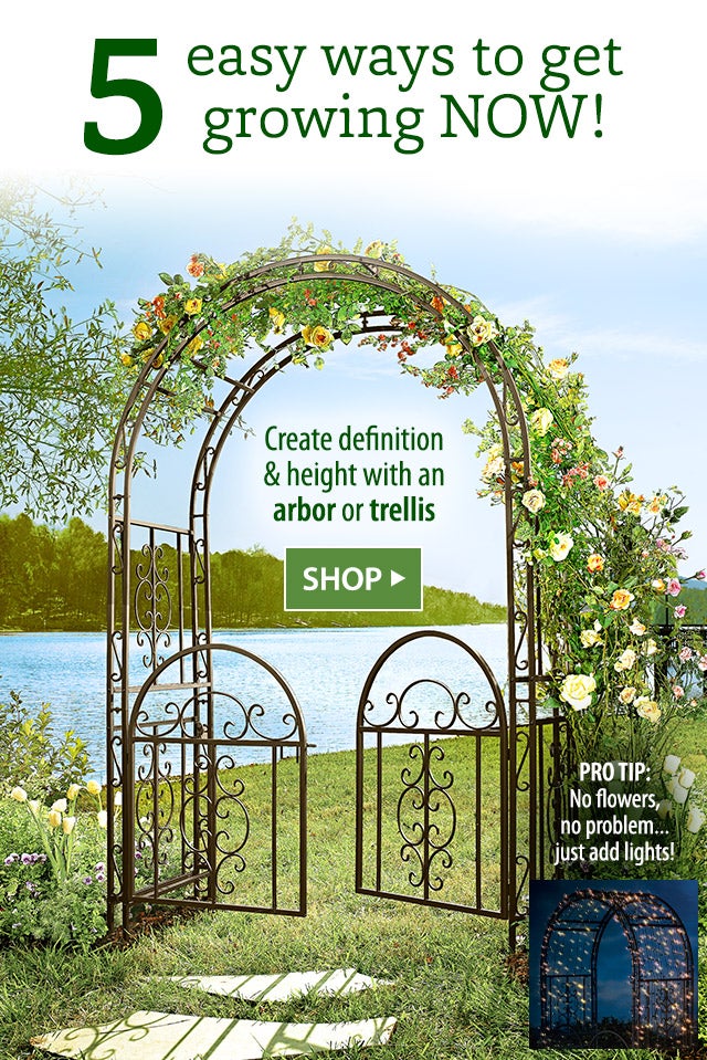 5 easy ways to get growing NOW! Create definition & height with an arbor or trellis PRO TIP: No flowers, no problem…just add lights! SHOP>