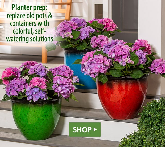 Planter prep: replace old pots & containers with colorful, self-watering solutions SHOP>