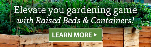 Elevate you gardening game with Raised Beds & Containers! LEARN MORE>