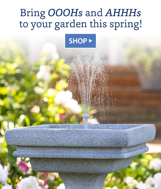 Bring OOOHs and AHHHs to your garden this spring! SHOP>