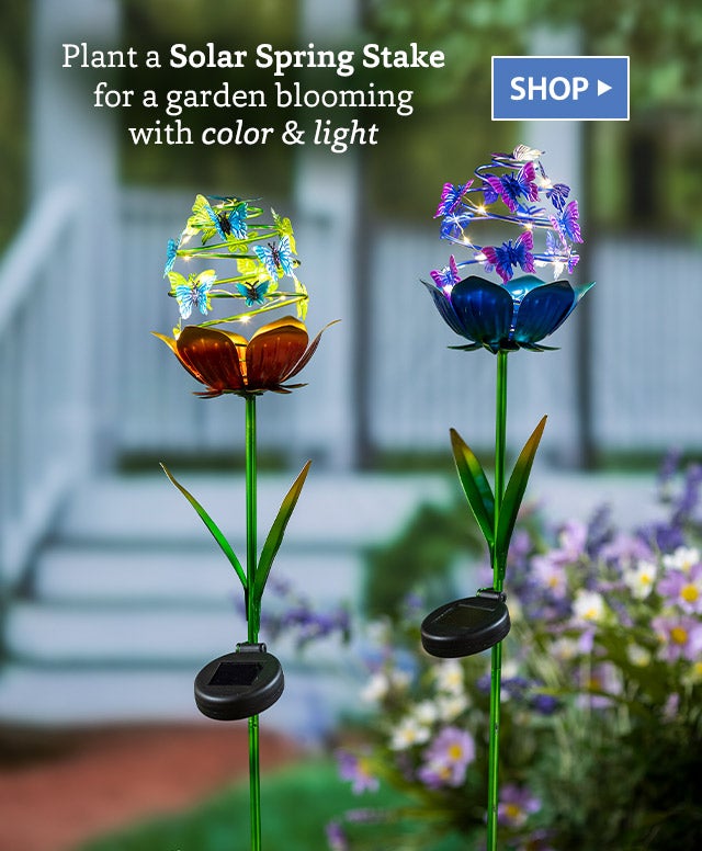 Plant a Solar Spring Stake for a garden blooming with color & light SHOP>