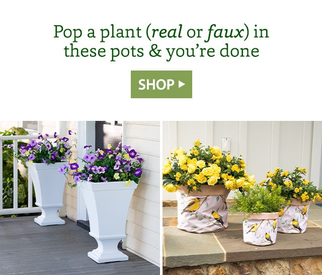 Pop a plant (real or faux) in these pots & you’re done SHOP>