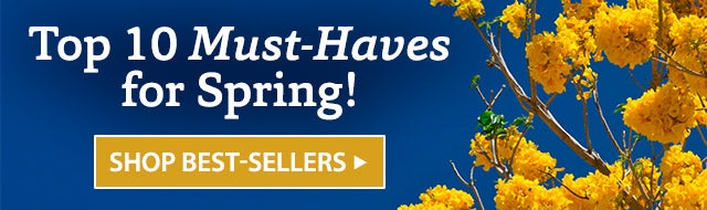 Top 10 Must-Haves for Spring! SHOP BEST-SELLERS>