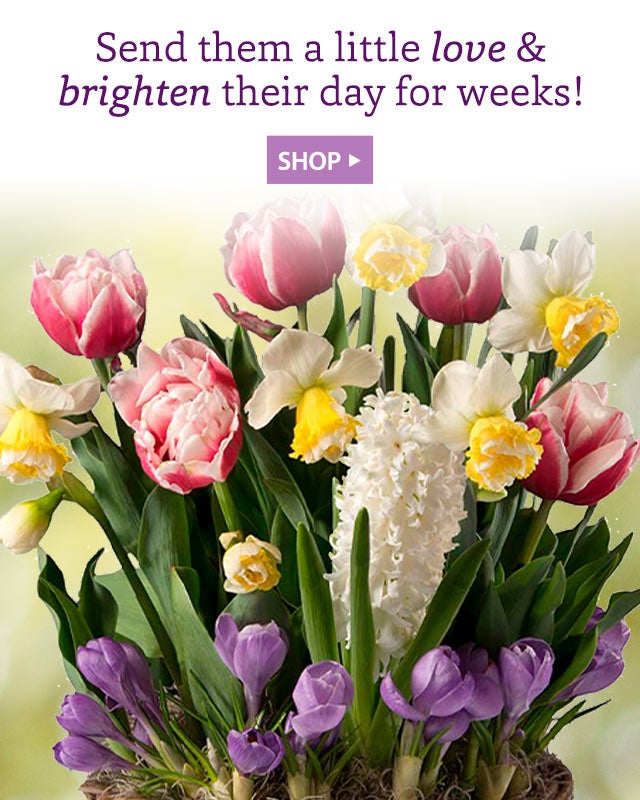 Send them a little love & brighten their day for weeks! SHOP>