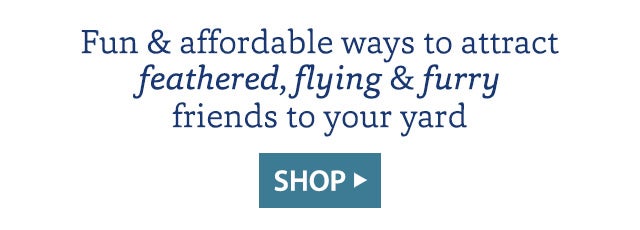 Fun & affordable ways to attract feathered, flying & furry friends to your yard SHOP>