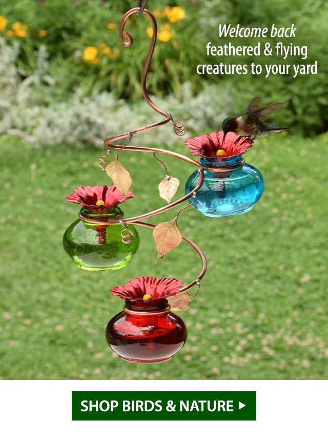 Welcome back feathered & flying creatures to your yard SHOP BIRDS & NATURE>