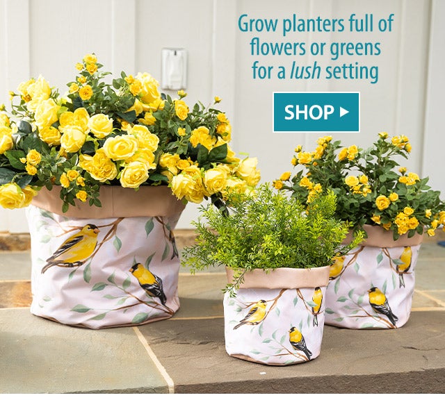 Grow planters full of flowers or greens for a lush setting SHOP>