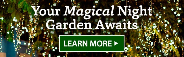 Your Magical Night Garden Awaits LEARN MORE>