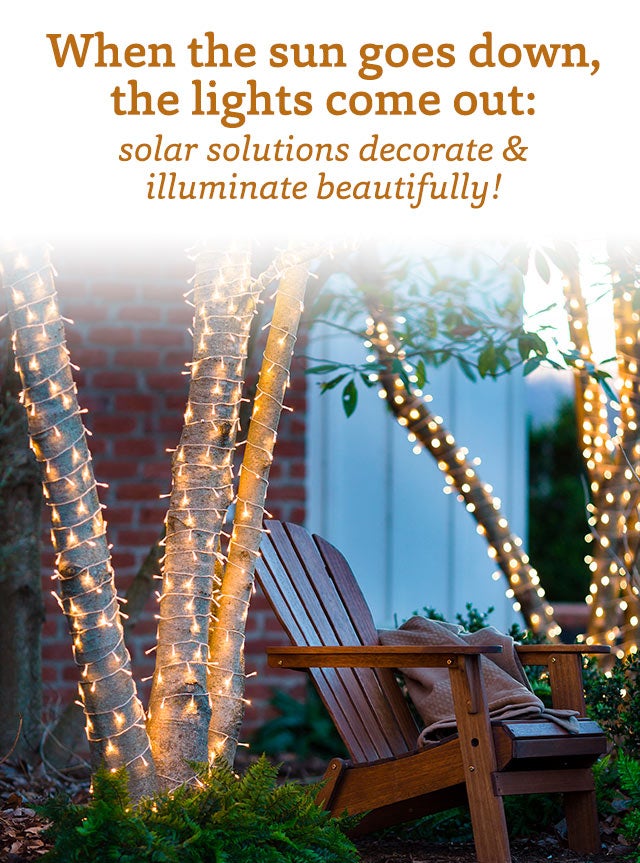 When the sun goes down, the lights come out: solar solutions decorate & illuminate beautifully!