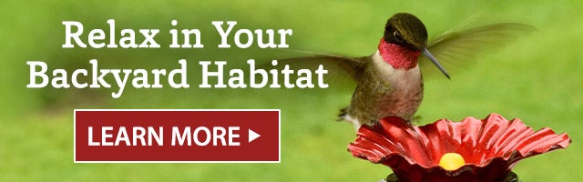 Relax in Your Backyard Habitat LEARN MORE>