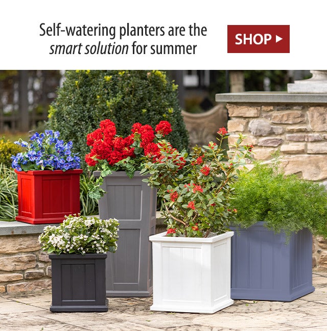 Self-watering planters are the smart solution for summer