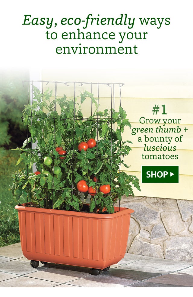 Easy, eco-friendly ways to enhance your environment SHOP> #1 Grow your green thumb + a bounty of luscious tomatoes SHOP>