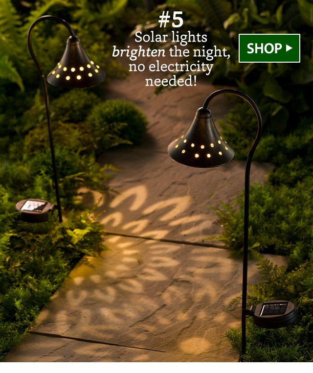 #5 Solar lights brighten the night, no electricity needed! SHOP>