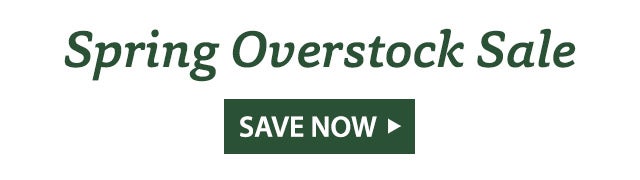 Spring Overstock Sale SAVE NOW >