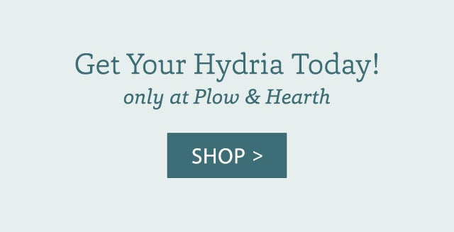 Get Your Hydria Today! only at Plow & Hearth SHOP>