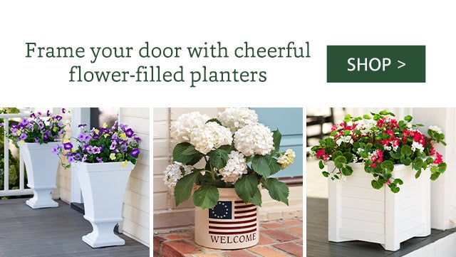 Frame your door with cheerful flower-filled planters SHOP> 