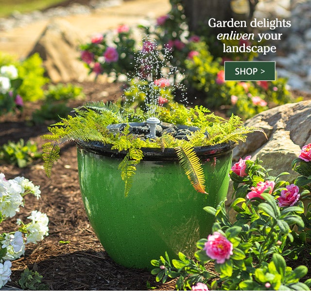 Garden delights enliven your landscape SHOP>