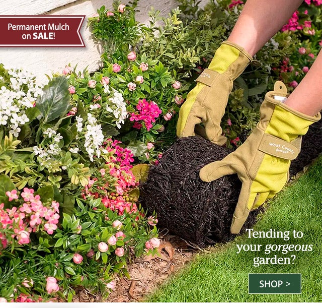 Tending to your gorgeous garden? Permanent Mulch on SALE! SHOP>