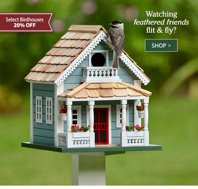 Watching feathered friends flit & fly? Select Birdhouses 20% OFF SHOP>