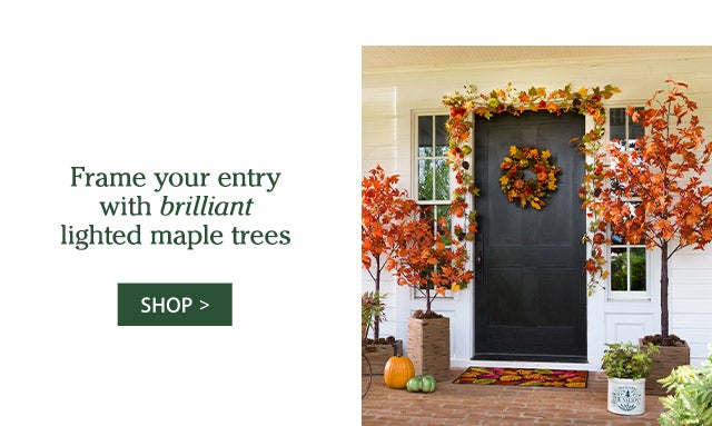 Greet the season & guests with front door foundations SHOP>